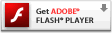 The Get Adobe Flash button